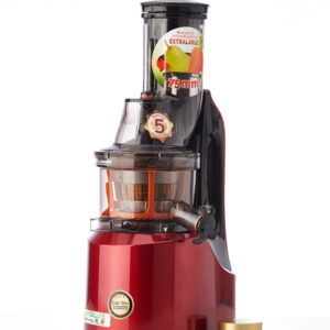 Slow juicer LifeEnergy PRO